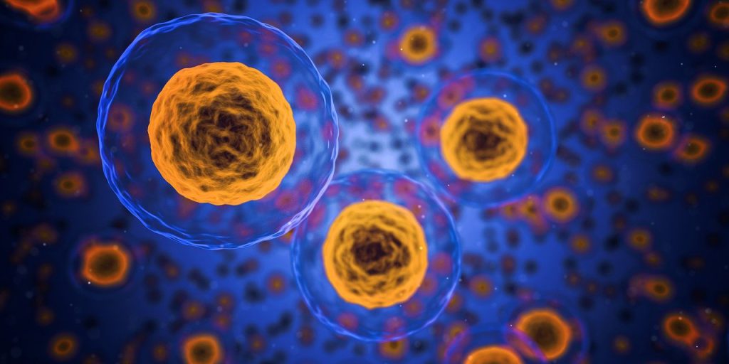 Exosomes