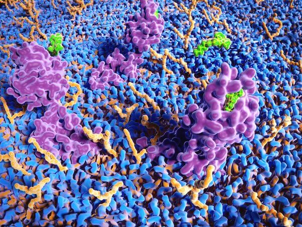 Nanoparticle Characterization